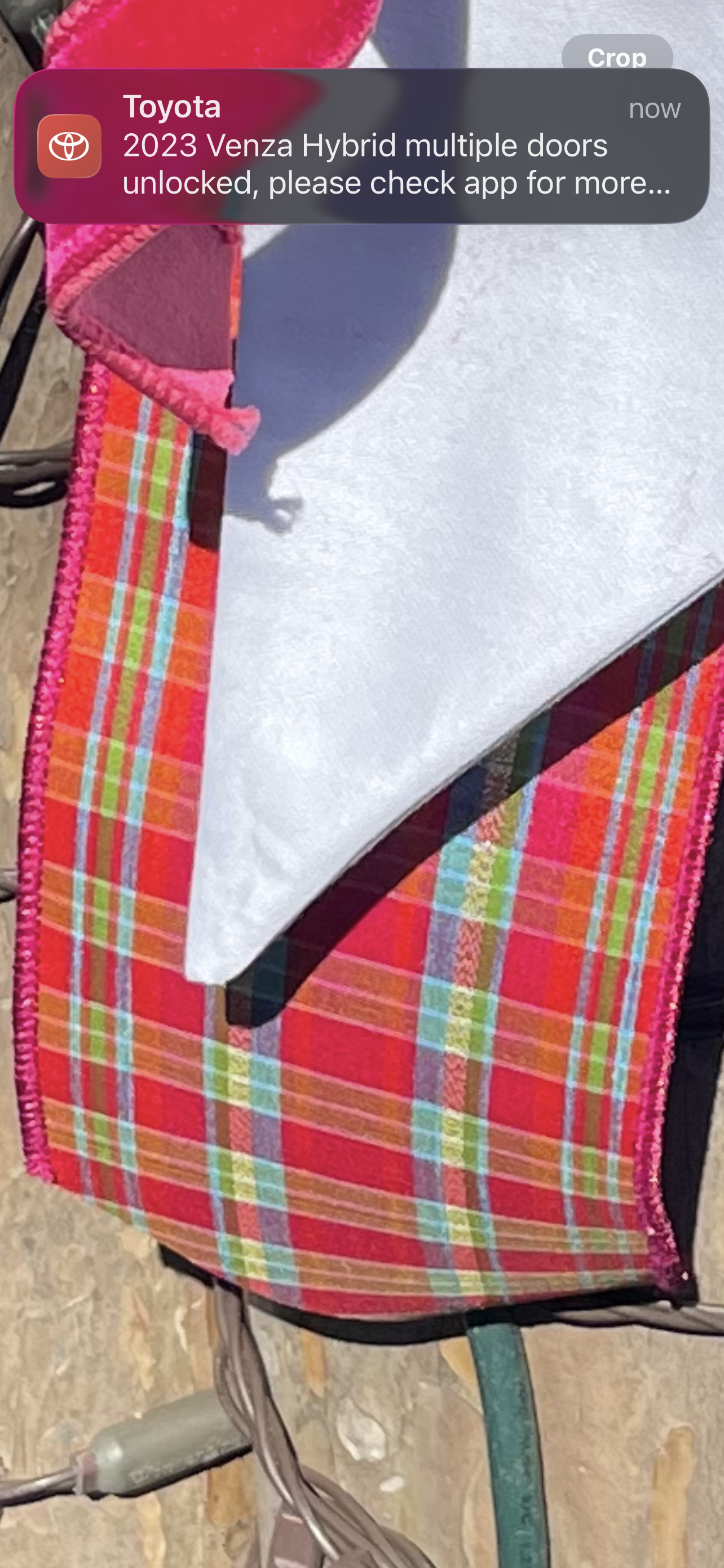 Pink Plaid Ribbon